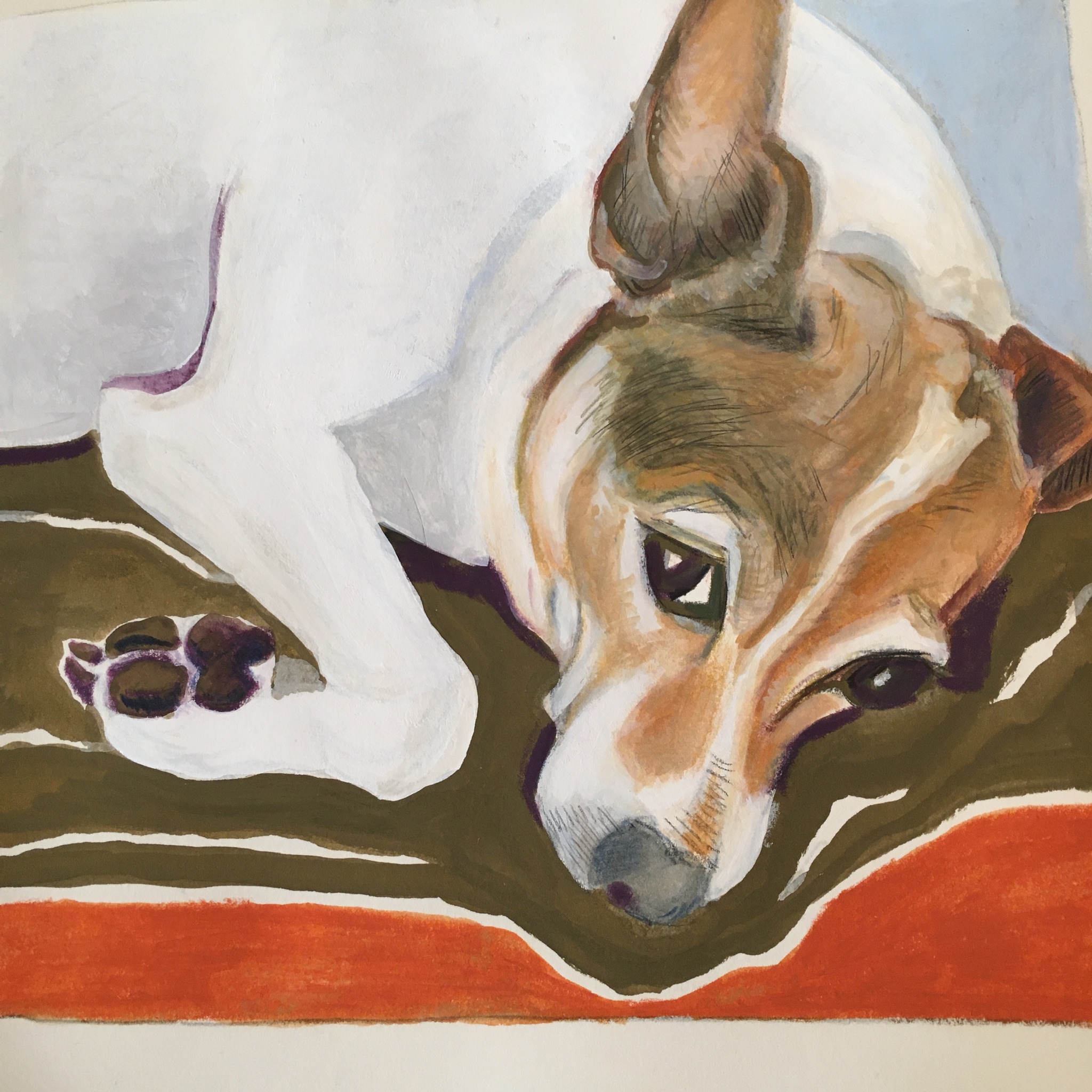 Liva Gårdhund #5, 2019 · Privateje